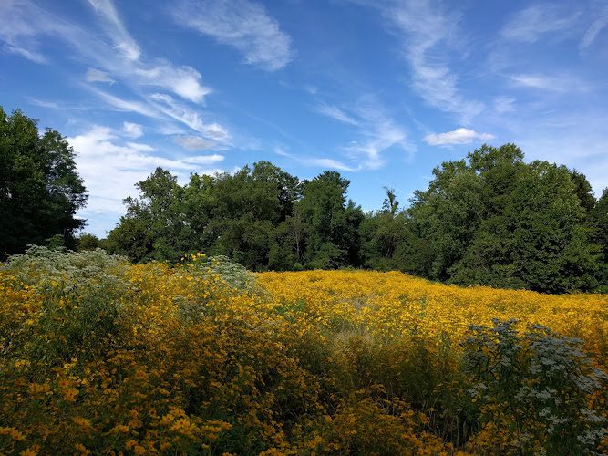 Marie Butler Leven Preserve