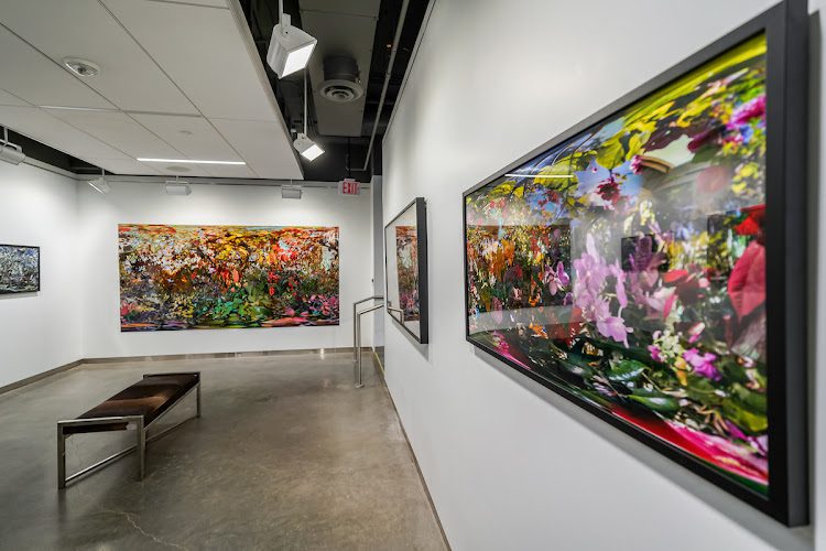 Fred Schnider Gallery of Art
