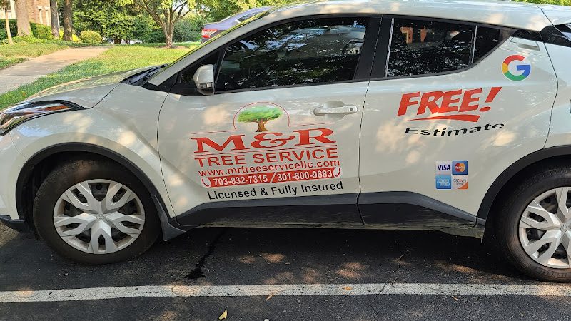 M & R Tree Service