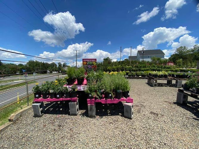 Meadows Farms Nurseries and Landscape