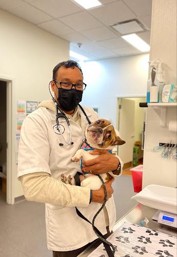Arlington Animal Hospital