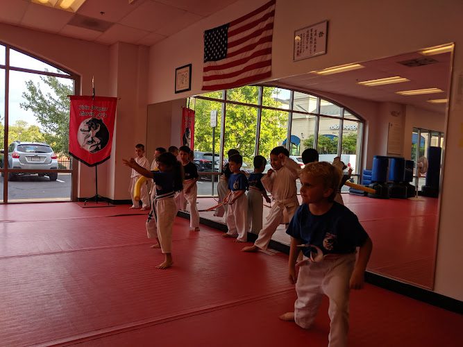 Twin Dragon Martial Arts