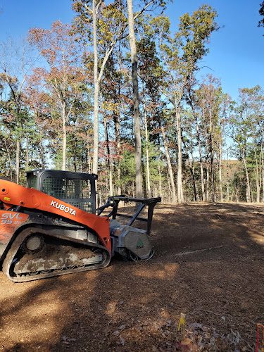 Timber Works Tree Care