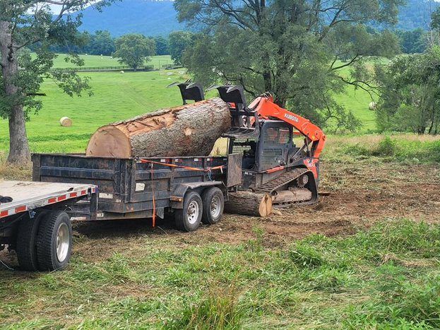 AVA Tree Services