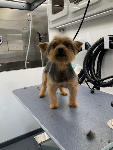 TheGroomRoomDMV.COM