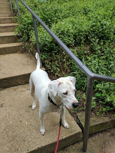 Great Falls Boarding Kennels