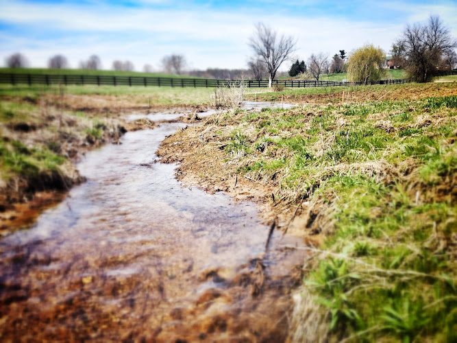 Long Branch Farm