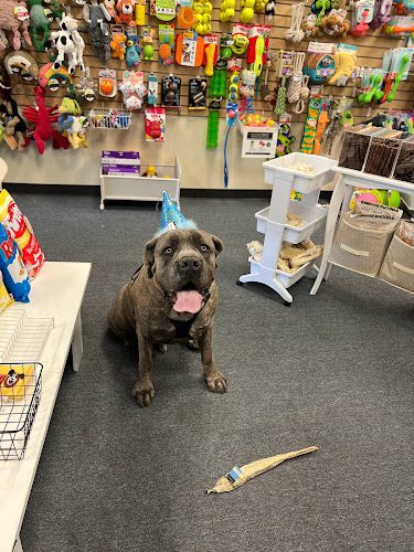 Pampered Pet Boutique and Barkery