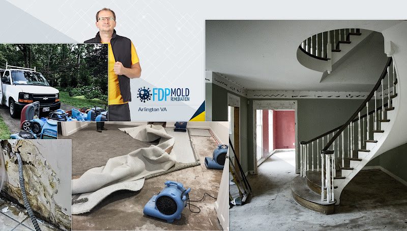 FDP Mold Remediation of Arlington