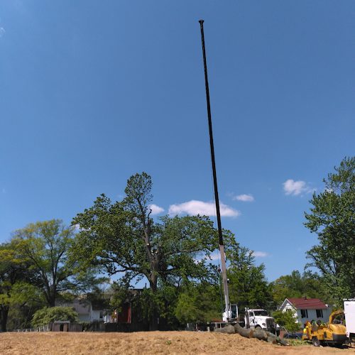 JL Tree Service Inc