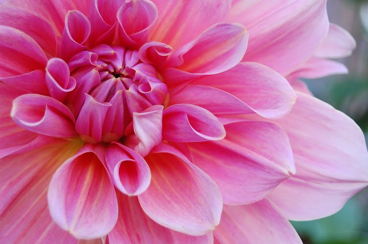 Sacred Solutions Spiritual Healing & Home Clearing with Cheryl