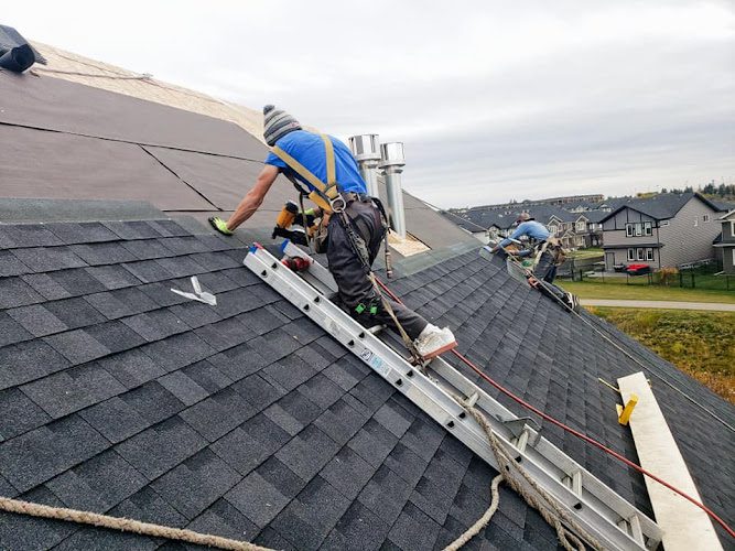 Insured Roofs – Arlington Branch