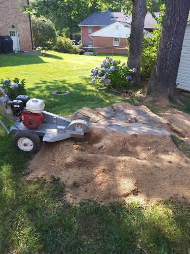 José Landscaping Services