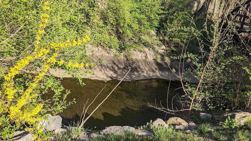 Cavalier Trail Park