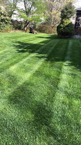 Viana Lawn Care