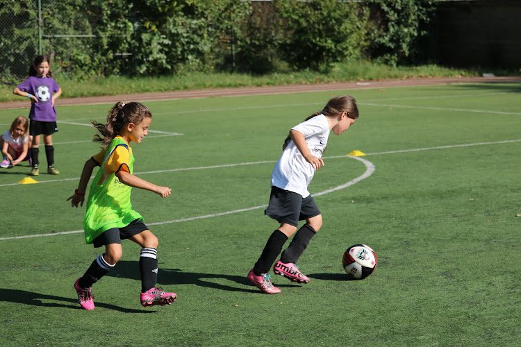 DC Stoddert Soccer