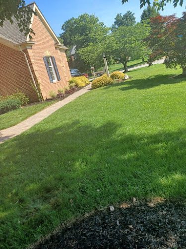 Benitez Landscaping Services LLC