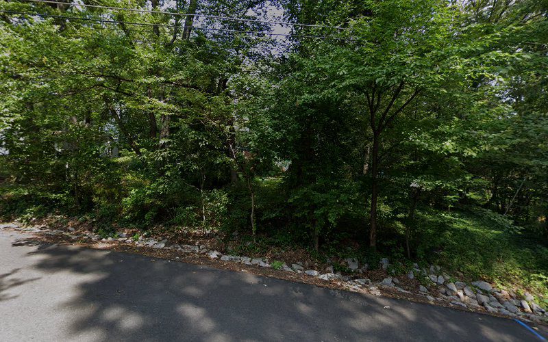 Ports Professional Tree Surgery