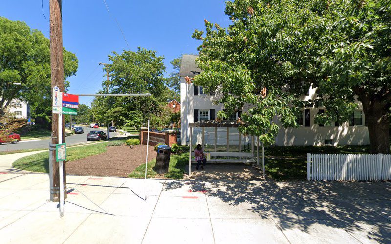 Commons of Arlington Pool