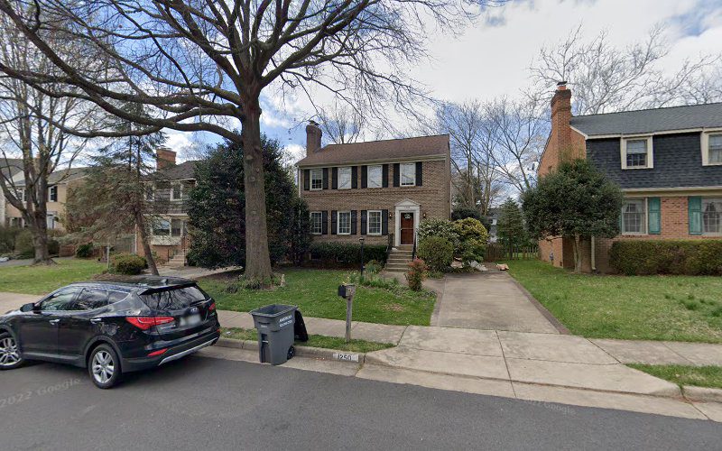 Olsen Tree Service And Removal